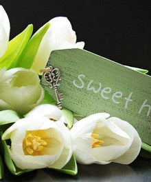 Sweet Home im Frühling - Diamond Painting mit weißen Tulpen