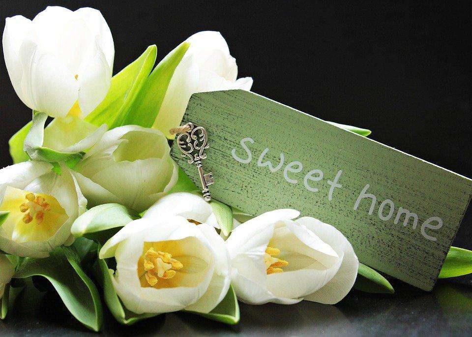 Sweet Home im Frühling - Diamond Painting mit weißen Tulpen