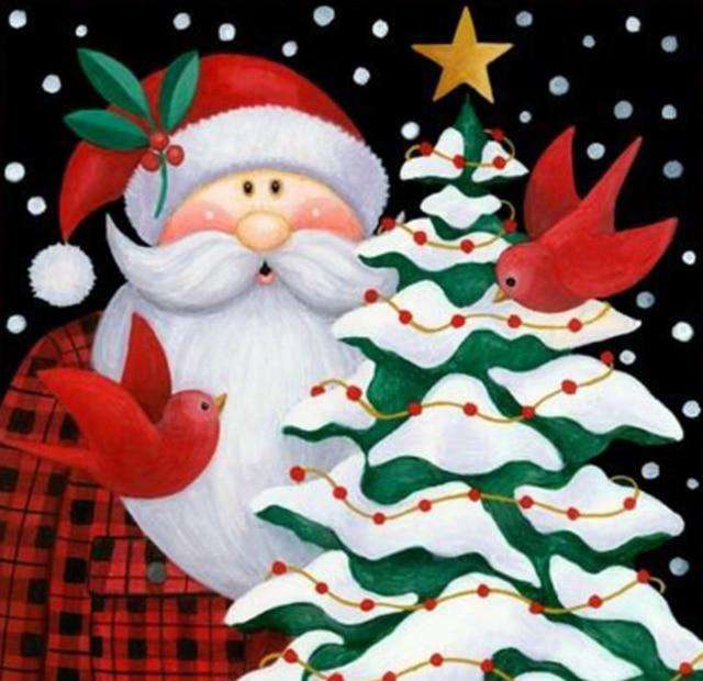 Weihnachtsmann Karikatur Diamond Painting